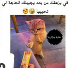 Ø§Ù‡Ù„ÙŠÙ† ÙˆØ³Ù‡Ù„ÙŠÙ†